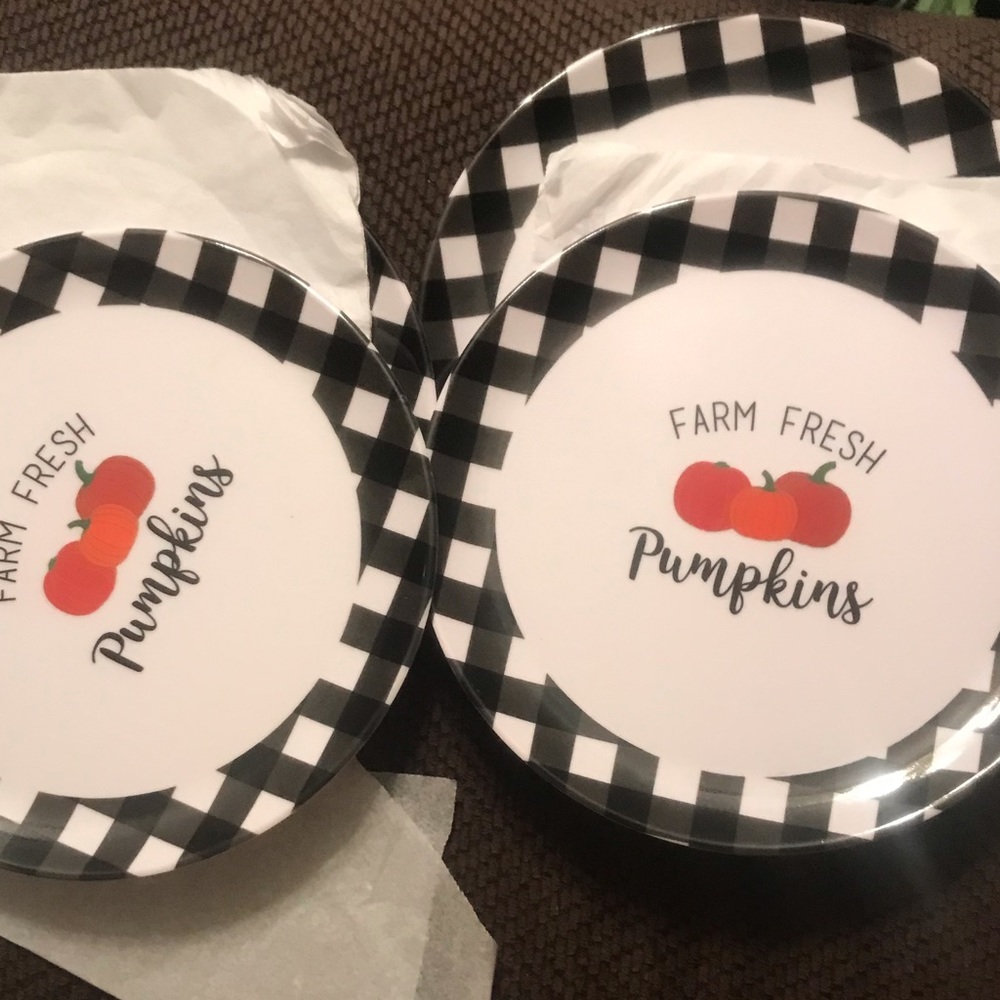 Set of 4 + 1 (5) Fall Fresh Pumpkins Melamine Salad Plates